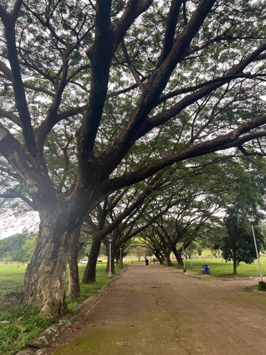 Checking In on the Journey