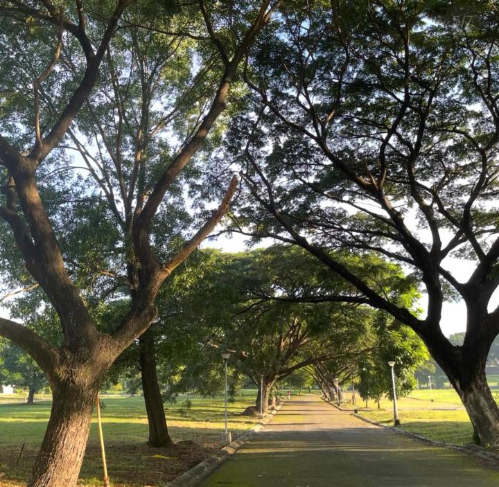 Mindfulness & Presence