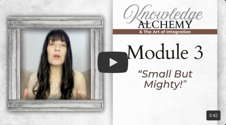 Module 3: Small But Mighty