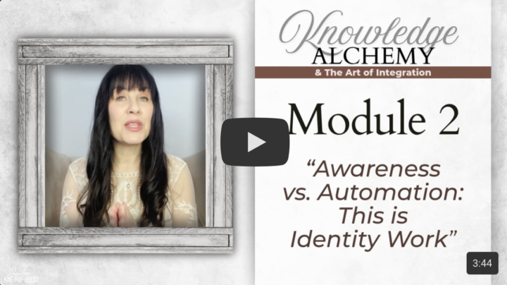 Module 2: Awareness vs Automation ➡️ Identity Work