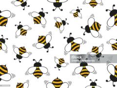 María Elena Cogollo