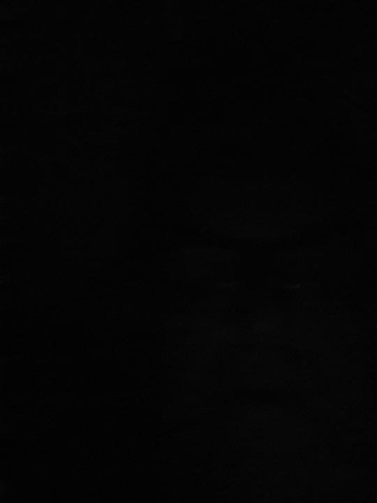 Anton Pechhacker