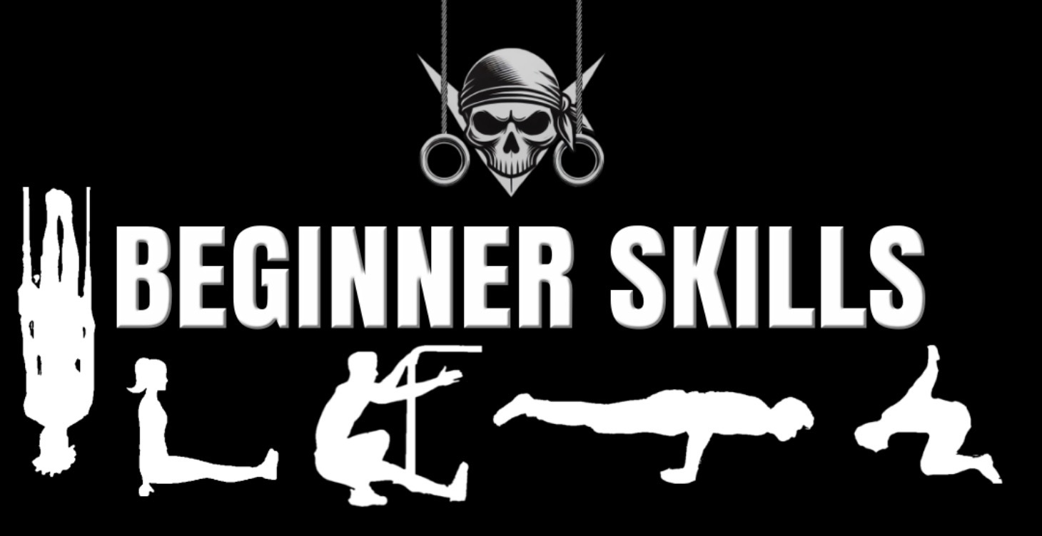Beginner Skills Guide