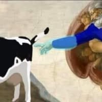 Jose antonio Alvizo flores