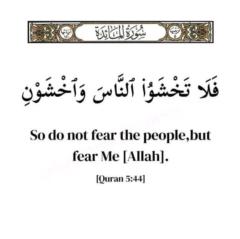 Syeda Qudsia