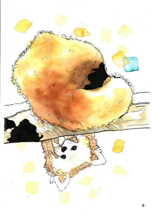 Bartlomiej Przybylowski