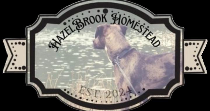 Hazelbrook Homestead