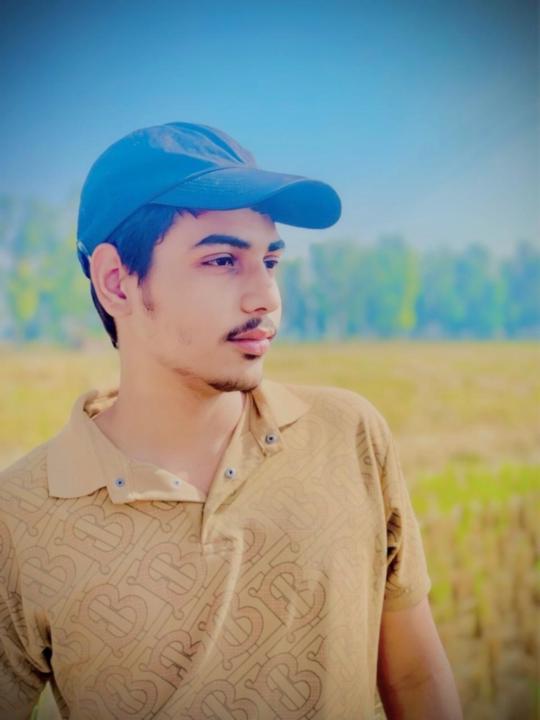 Sushant Raman
