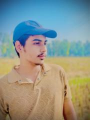 Sushant Raman