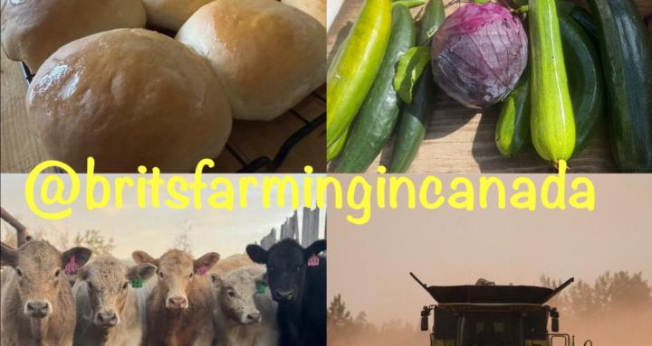 Brits Farming in Canada