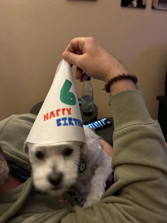 Happy birthday to my pup! 