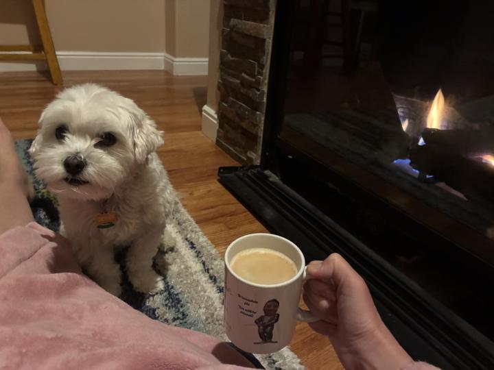 Good morning