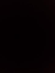 Jose Emiliano Urrutia Zuñiga