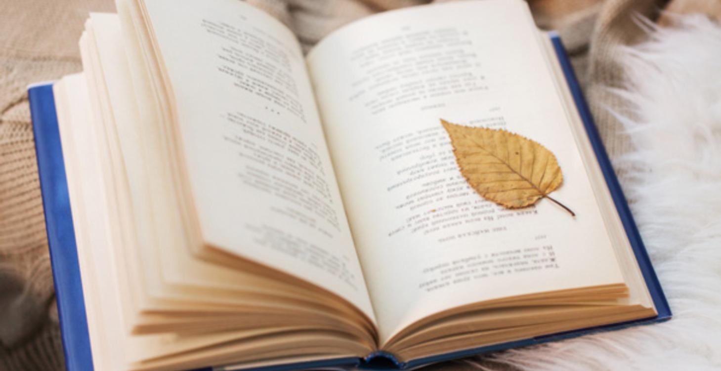 LITERATURE