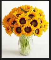 Debora Lavoura Prestes