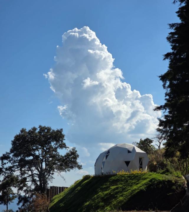 Claudia Guadalupe Licón Sánchez