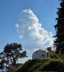 Claudia Guadalupe Licón Sánchez