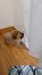 Alexander Leonel Ramos Feijoo