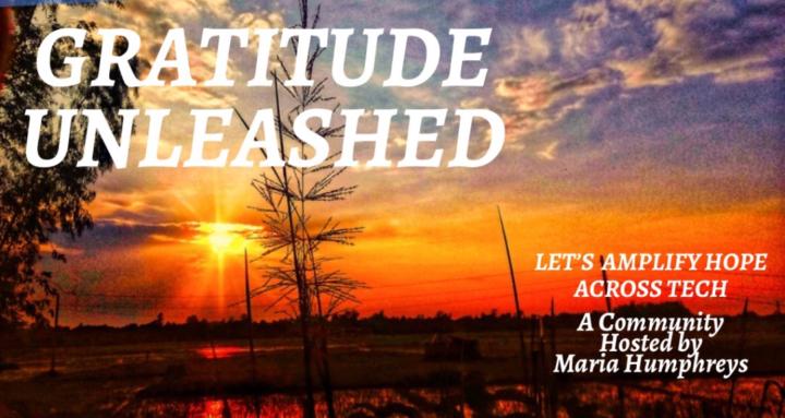 Gratitude Unleashed🦋