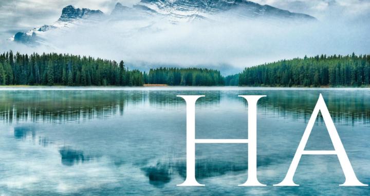 Les Humains Alignés 🪙