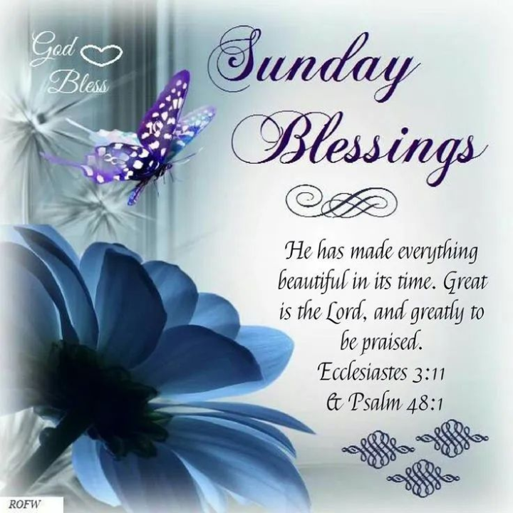 Have an Amazing Blessed Sunday With Your Family