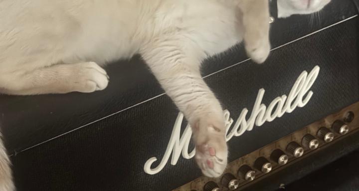 All things electric Guitar