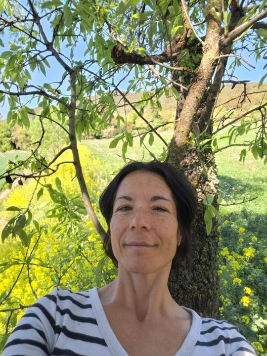 Montse Palet