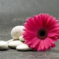 Fatima zahra Bnmbarek