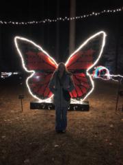 Sella Reinwand-Crooks