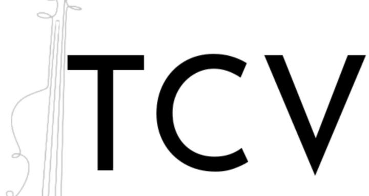 The Complete Violinist