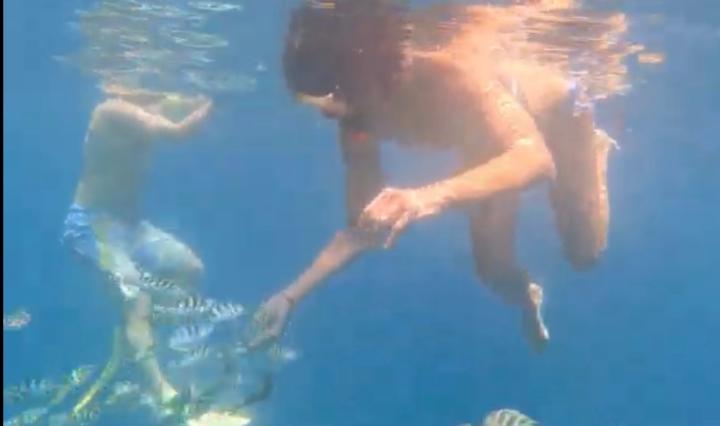 Vitoria Borg-Olivier