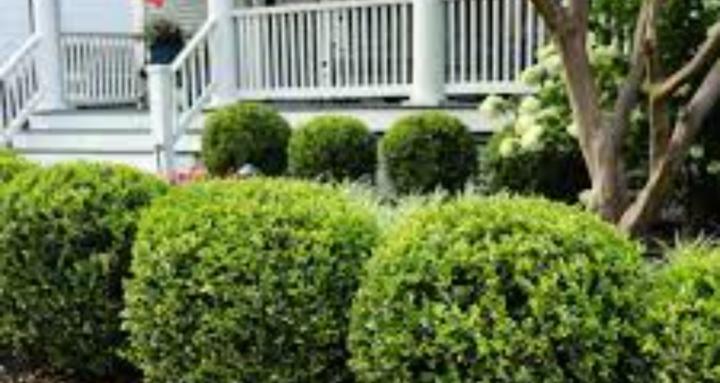 Lighthouse landscaping