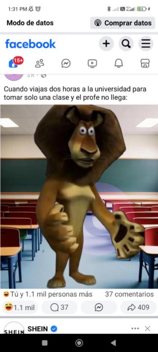 Angie Soto
