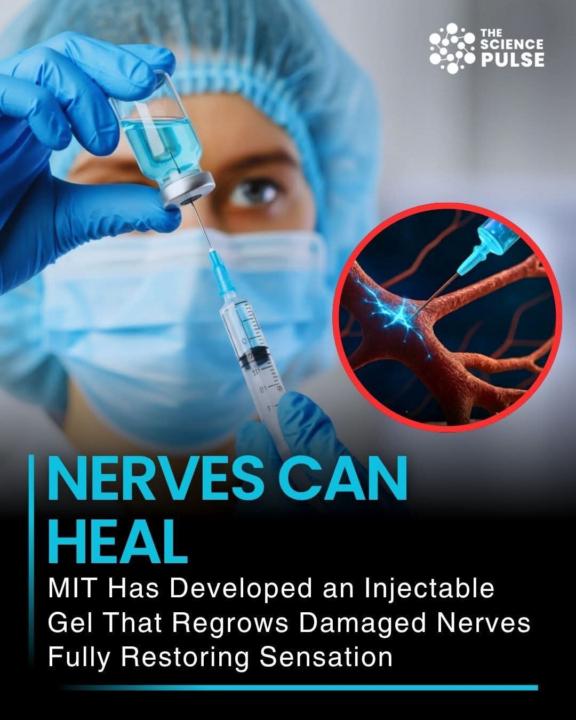 Hydrogels - What are they? 