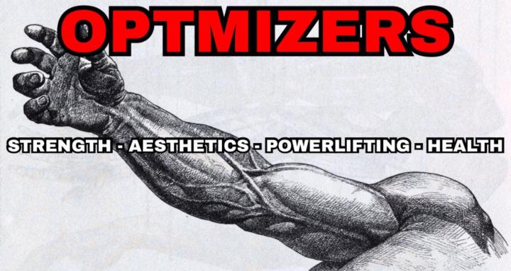 Optimizers