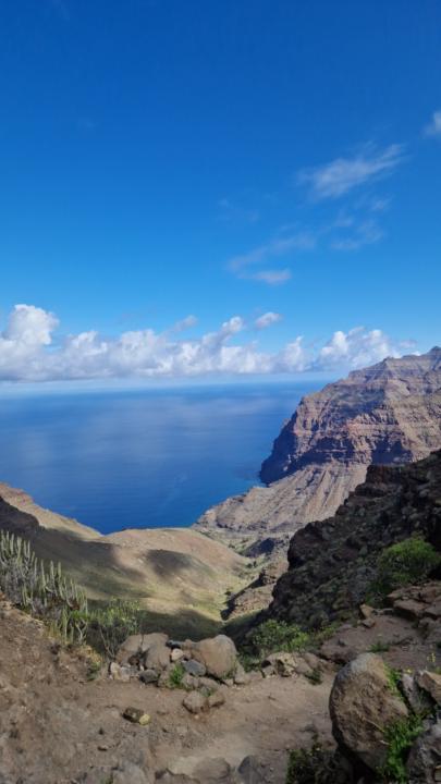 Yolanda Segura Suárez