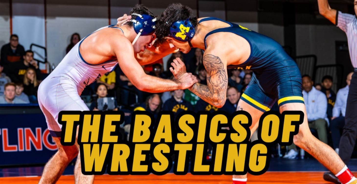 The Basics Of Wrestling