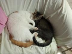 Cristóbal Zapata Reyes