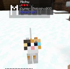 Carmen Berezy Chavez