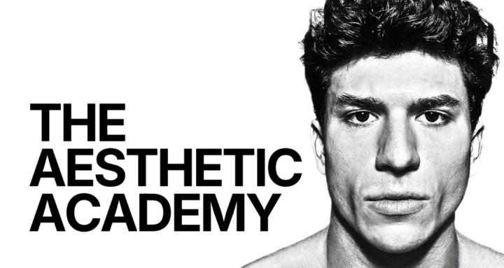 The Aesthetic Academy