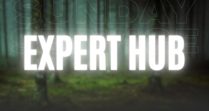 Expert Hub 