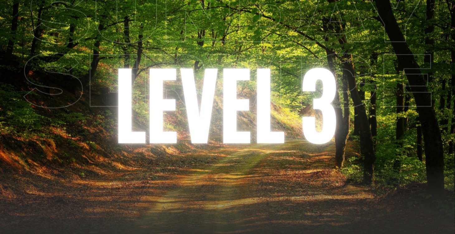 Level 3: Học Viện Số