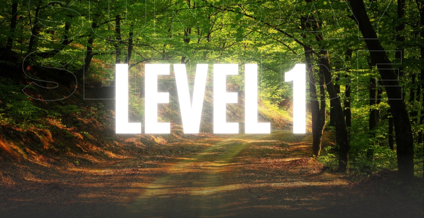 Level 1: Kỹ Năng Thu Nhập Cao