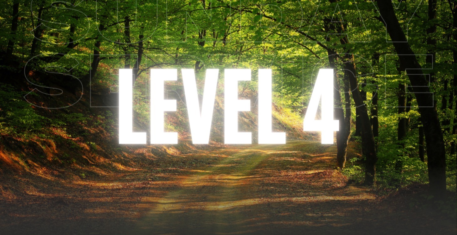 Level 4: Đóng Gói Quy Trình