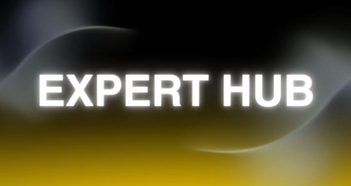 Expert Hub 
