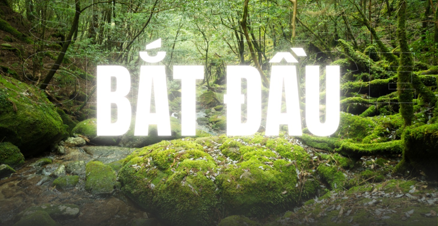 Bắt Đầu Tại Đây