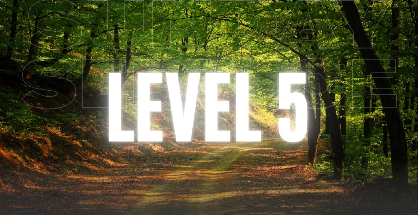 Level 5: Community