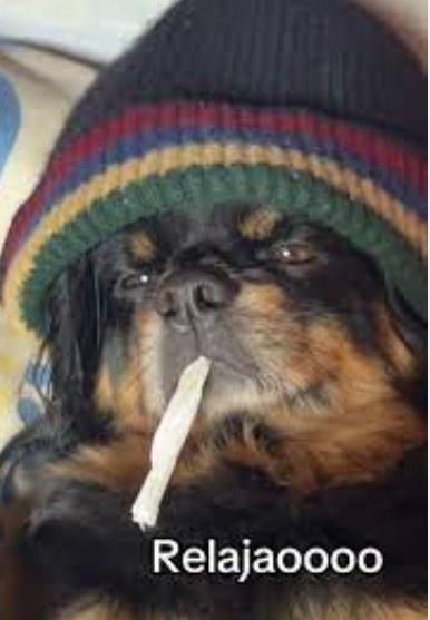 Glen Carranza Sánchez