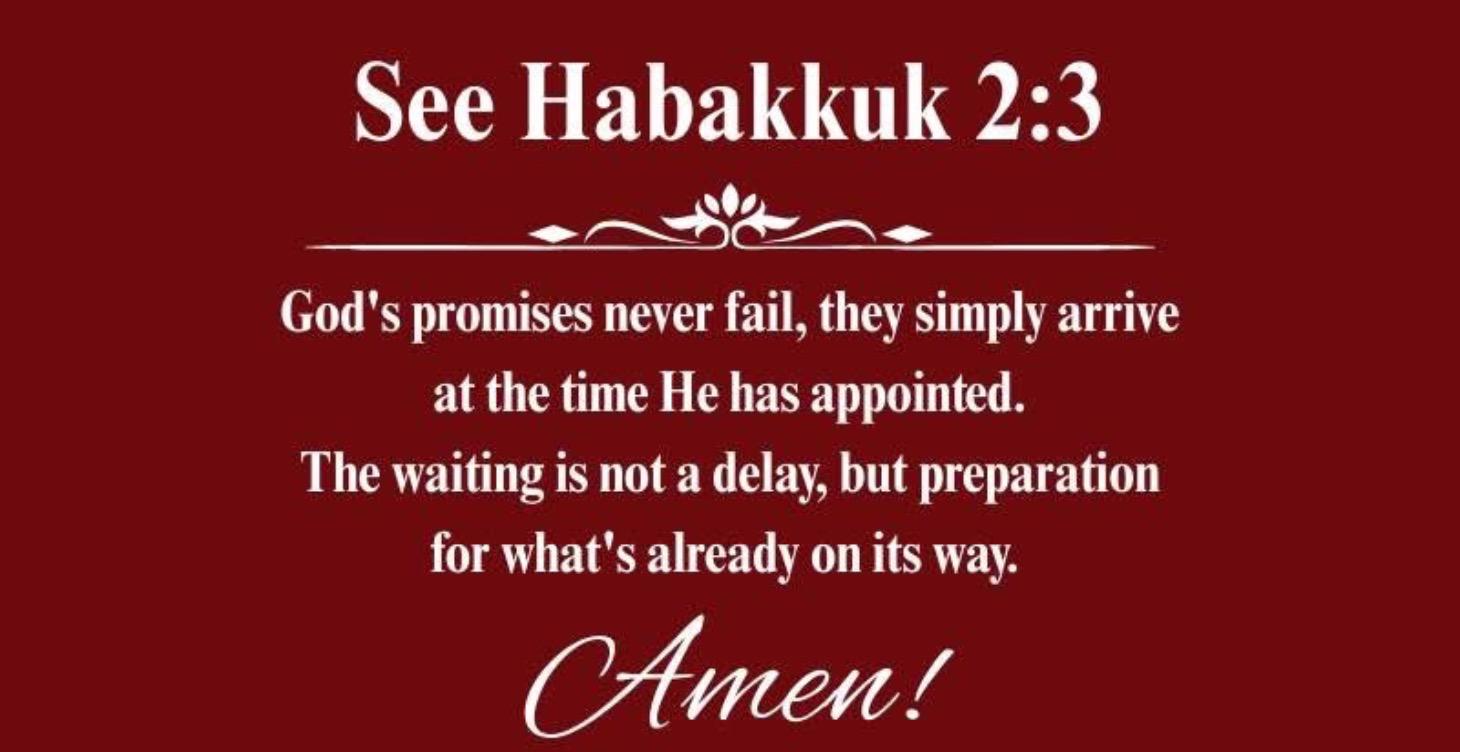 Skool Spiritual Series Summary: Growing in Faith