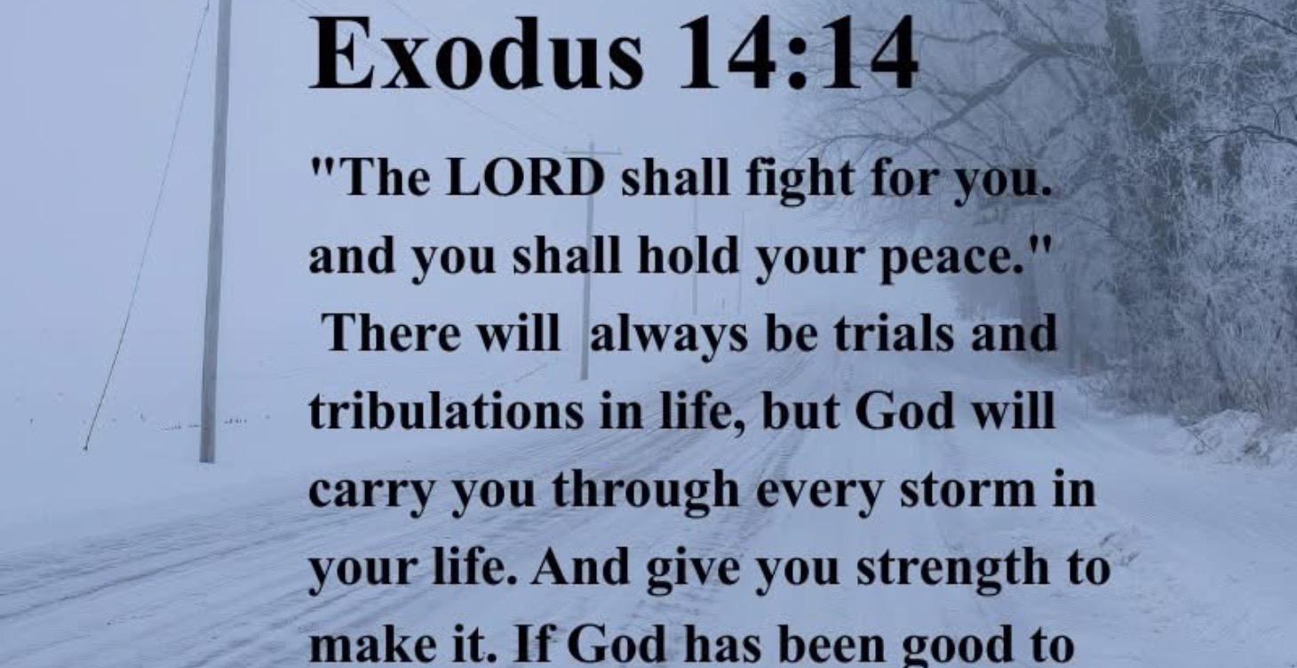 Week Nine: Strengthening Your Faith in Trials